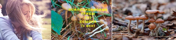 гашишное масло Дмитровск