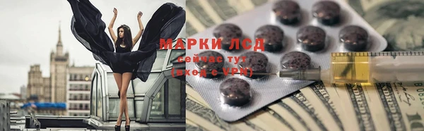 соль ск Дмитриев