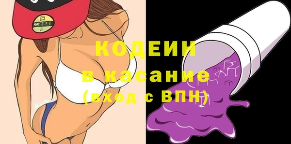 соль ск Дмитриев