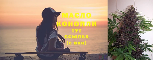 соль ск Дмитриев