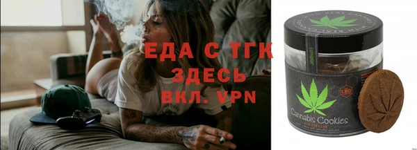 соль ск Дмитриев