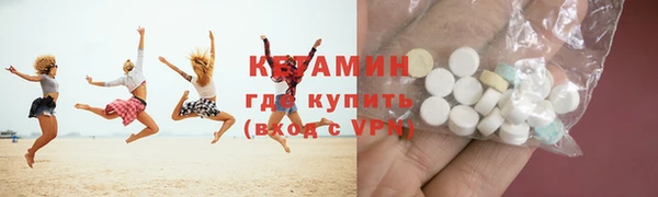 соль ск Дмитриев
