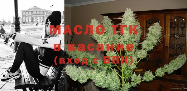 соль ск Дмитриев