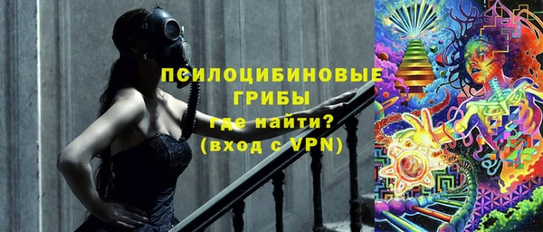 соль ск Дмитриев