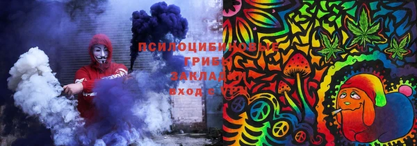 соль ск Дмитриев