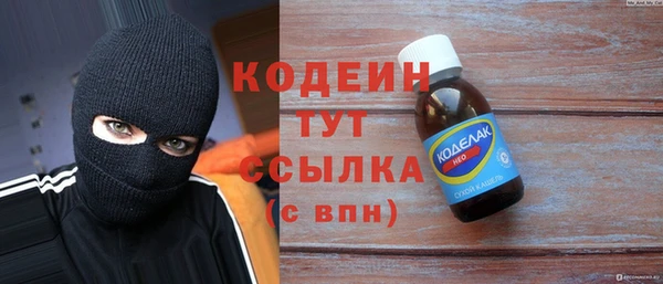 соль ск Дмитриев