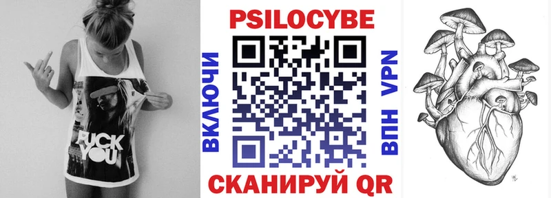 Псилоцибиновые грибы Cubensis  Звенигород 